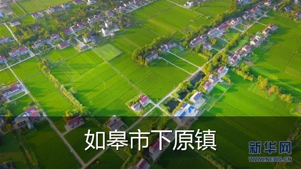 如皋市下原镇