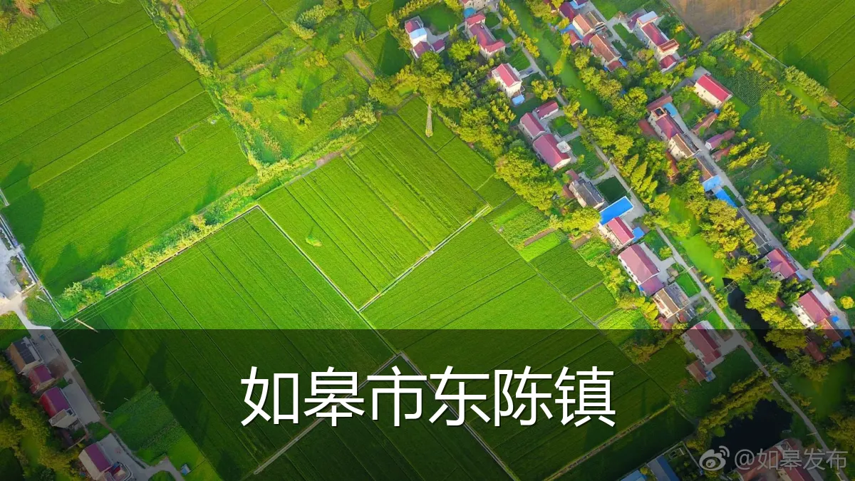 如皋市东陈镇