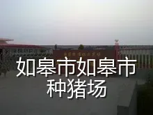 如皋市如皋市种猪场