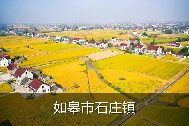 如皋市石庄镇